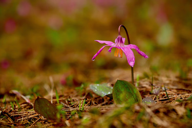 Similar image 21847359