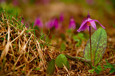 Similar image 21847360