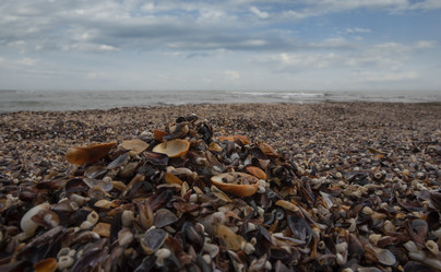 Similar image 21856386