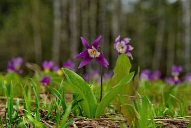 Similar image 21847363