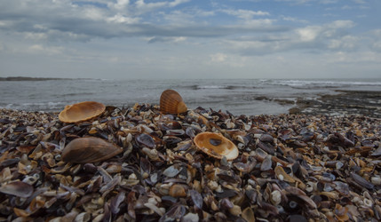 Similar image 21856388