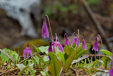 Similar image 21847364