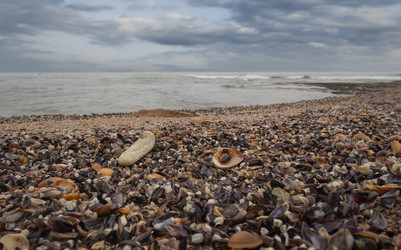 Similar image 21856389