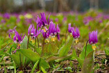 Similar image 21847365