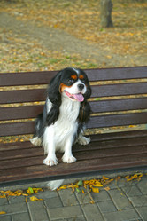 Similar image 21845734