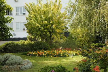 Similar image 21845735