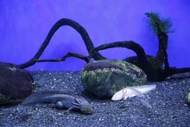 Similar image 21845913