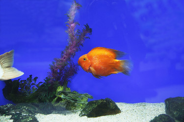 Similar image 21845736