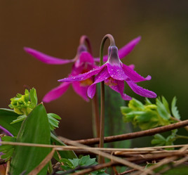 Similar image 21847622