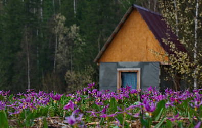 Similar image 21847623