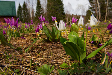 Similar image 21847628