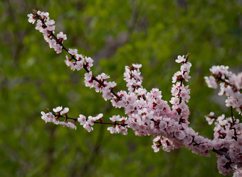 Similar image 21847629