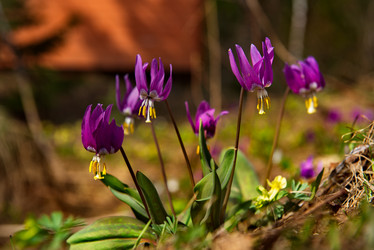 Similar image 21847631