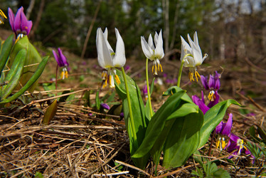 Similar image 21847632