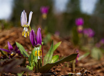 Similar image 21847634