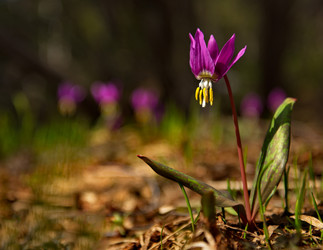 Similar image 21847635