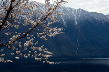 Similar image 21847636