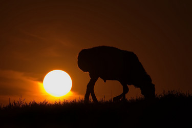 Similar image 21847643