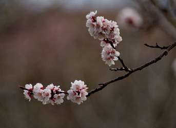 Similar image 21847646