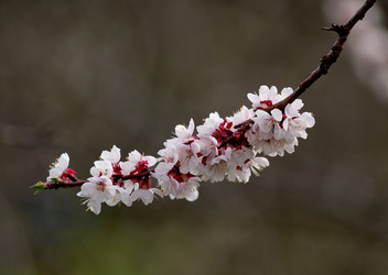 Similar image 21847647