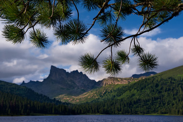 Similar image 21847649