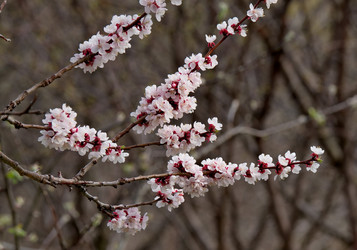 Similar image 21847650