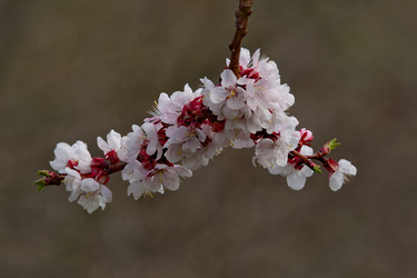 Similar image 21847652