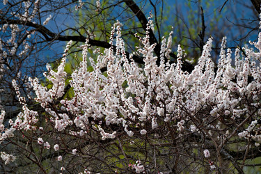 Similar image 21847654