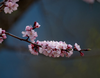 Similar image 21847656