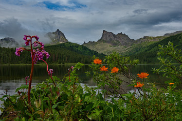 Similar image 21847663