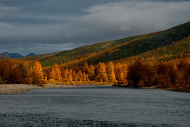 Similar image 21847685