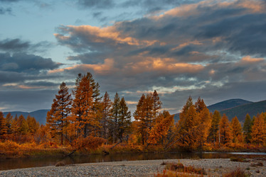 Similar image 21847687