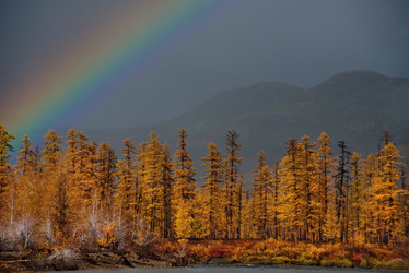 Similar image 21847395