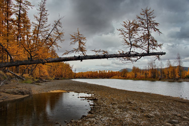 Similar image 21847399