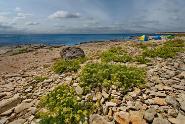 Similar image 21847715