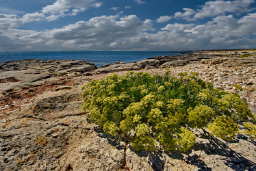 Similar image 21847717