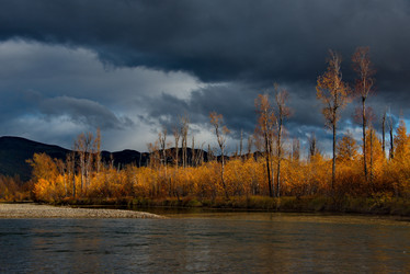 Similar image 21847722