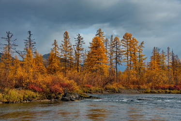 Similar image 21847730