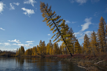 Similar image 21847740