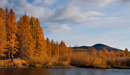 Similar image 21847746