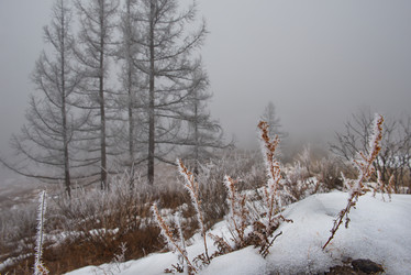 Similar image 21847747