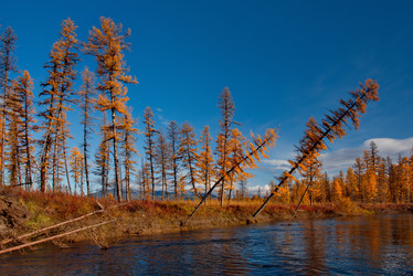 Similar image 21847751