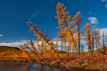 Similar image 21847752