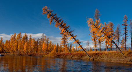 Similar image 21847753