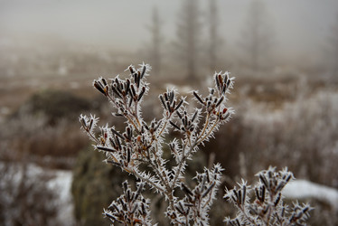 Similar image 21847754