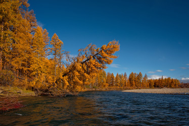 Similar image 21847756