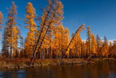 Similar image 21847757