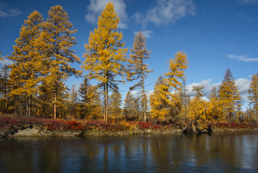 Similar image 21847763