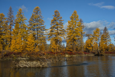 Similar image 21847764