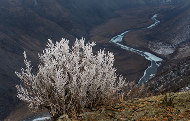 Similar image 21847765